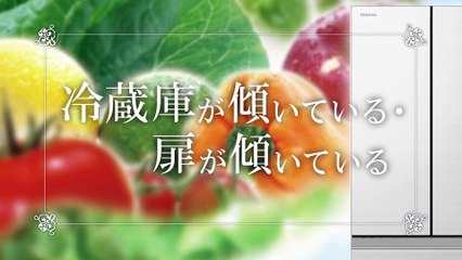 Cân bằng tủ lạnh nội địa Nhật