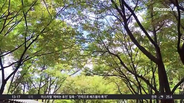 [날씨]주말에도 낮에 더워…동해안 내일까지 많은 비