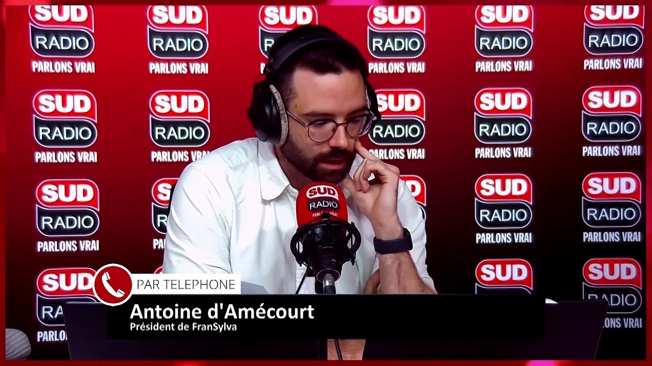 "Ce sont des réseaux criminels !" : Les propriétaires forestiers victimes de vols de bois dans leurs parcelles