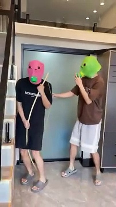 fun funny life