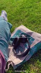 Alhamdulillah __•_•_•__ . . . . .  #shorts #reels #nature #dubai