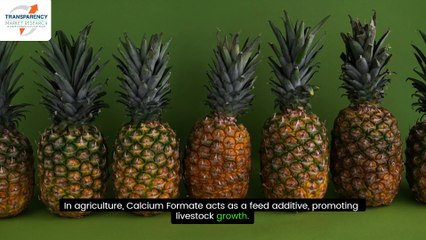Calcium Formate Market