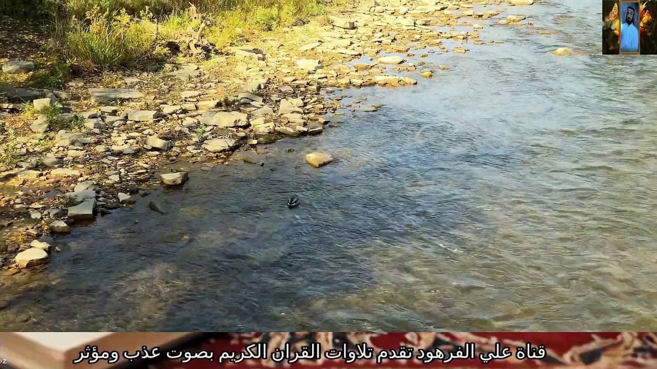 تلاوة تقشعر لها الأبدان من القران الكريم قناة علي الفرهود القران الكريم