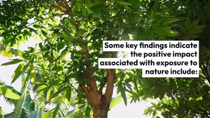 Kamil Pyciak | Forest Bathing and Its Benefits