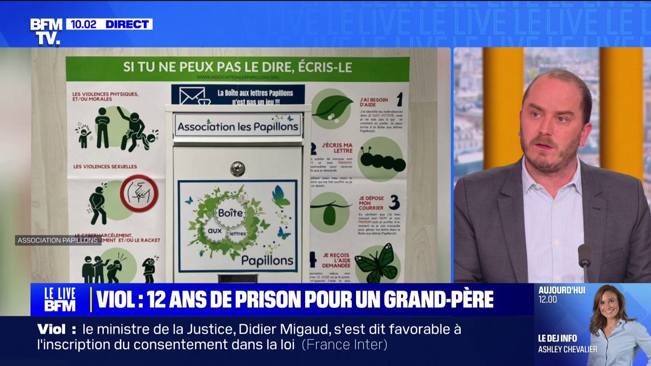 Inceste: 12 ans de prison pour un grand-père identifié grâce à une boîte aux lettres "Papillons"