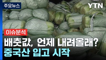 [경제PICK] 배춧값, 언제 내려올래?...중국산 입고 시작 / YTN