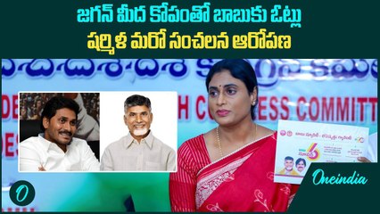 జగన్ మీద కోపంతో బాబుకు.. ఓట్లు షర్మిళ మరో సంచలన ఆరోపణ | Oneindia Telugu