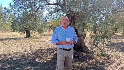 Salladıkça salıyor yüzü de kızarmıyor! Palavracı Turhan Çömez yine yerin dibinde