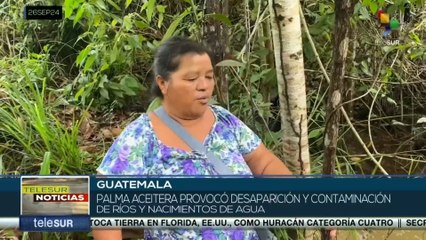 En Guatemala palma aceitera provocó desaparición y contaminación de ríos