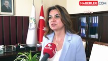 DEM Parti'den Erken Seçim ve Anayasa Tartışmalarına Yönelik Değerlendirmeler