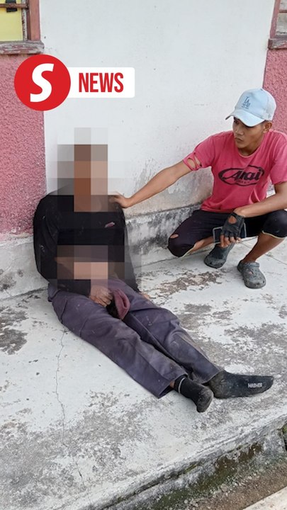 Elephant kills worker, injures another near Mersing school