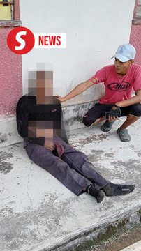 Elephant kills worker, injures another near Mersing school