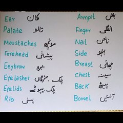 Parts of Body names vocabulary | Vocabulary | English vocabulary | grammar | English words with urdu meanings | English Notes