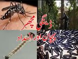 Dengue Mosquitoes awareness video