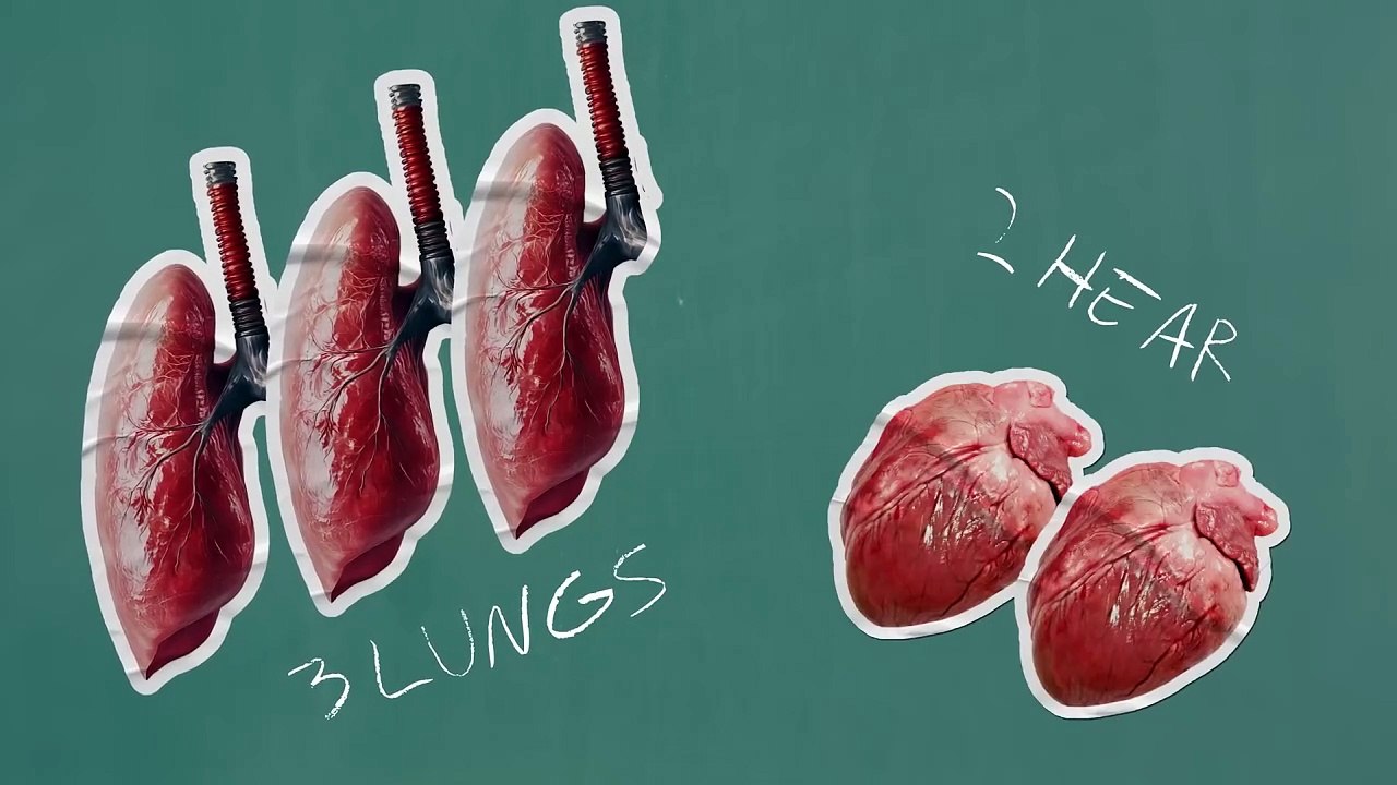 Space Marine 2: Clive Standen erklärt, was ein Space Marine ist