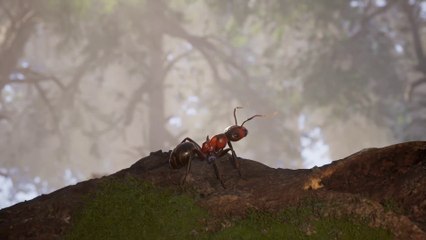 Les Fourmis - Trailer de gameplay - 4K ｜ PS5