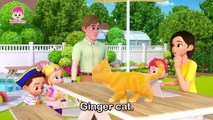 The Cat Song: Sing Along with Bebefinn! | Fun Nursery Rhymes for Kids 