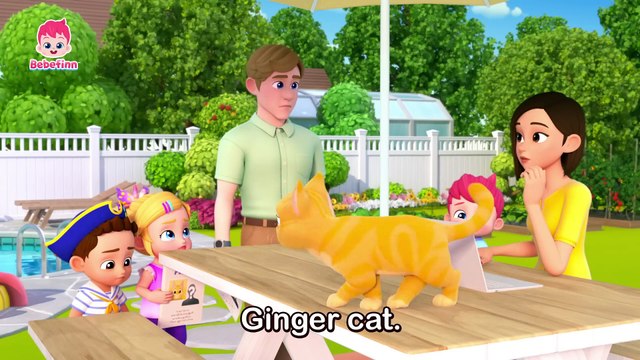 The Cat Song: Sing Along with Bebefinn! | Fun Nursery Rhymes for Kids