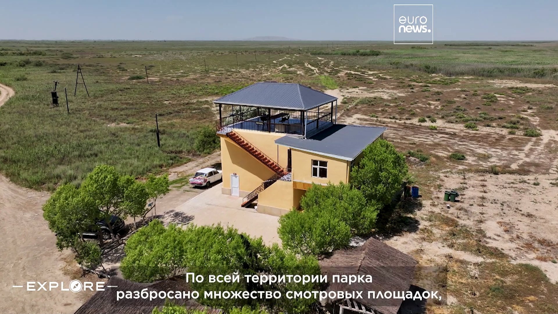 ⁣Прогулки в дикой природе: близкий взгляд на джейранов — символ Азербайджана
