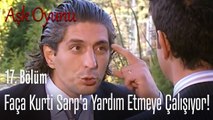 Faça Kurti Sarp'a yardım etmeye çalışıyor! - Aşk Oyunu 17. Bölüm