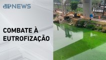 Governo de SP inicia nova operação de bombeamento de água no Rio Pinheiros