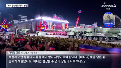 북 노림수대로?…IAEA 사무총장 “핵 보유 인정하자”