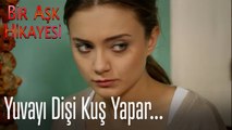 Yuvayı dişi kuş yapar - Bir Aşk Hikayesi