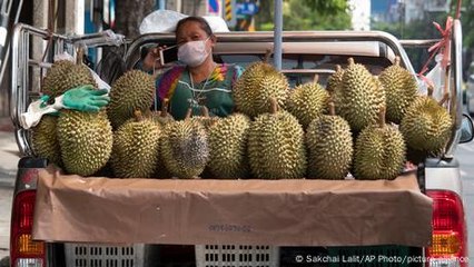 A spiky delicacy from Malaysia gets trade boost from China