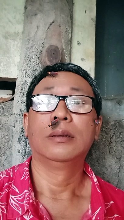 Subscribe