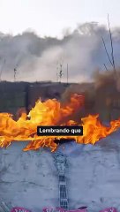 Recorde histórico de queimadas atinge o Estado de São Paulo