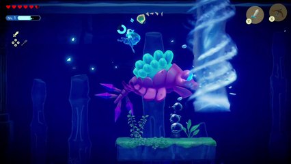 The Legend of Zelda : Echoes of Wisdom - Invortex