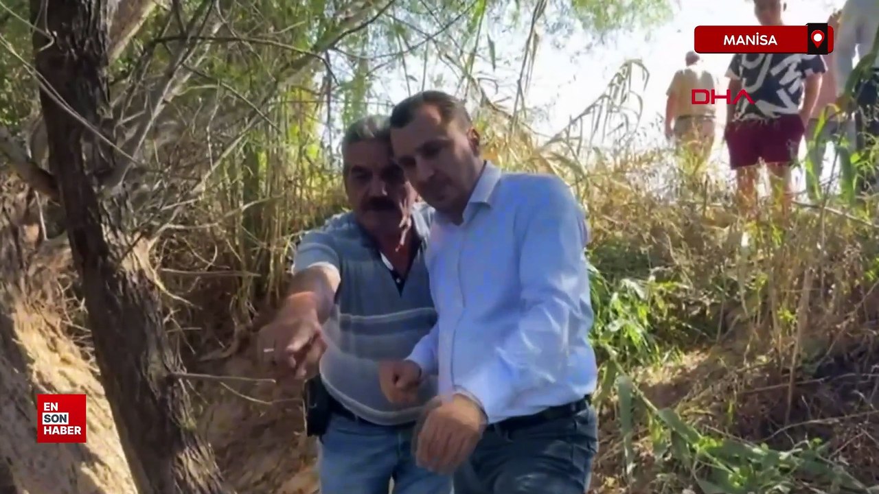 Manisa Gediz Nehri'nde balık ölümleri