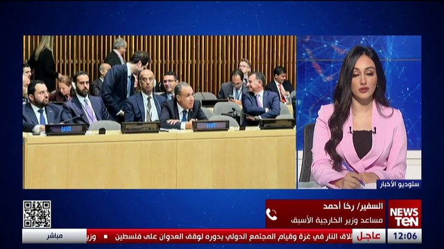 السفير رخا أحمد يقيم الحراك المصري السياسي والدبلوماسي لإيقاف إطلاق النار في غزة ولبنان