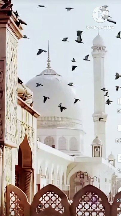 Islamic video in queqt
