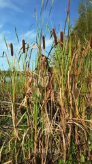 This camping hack is definitely worth taking note of!  #short #hack