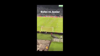 Así empezó la pelea en la tribuna norte del Atanasio Girardot