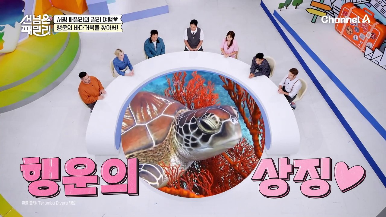 터틀 포인트에서 행운의 바다거북 실물 영접 성공♣♧ 거북이와 함께 즐기는 바다 수영~