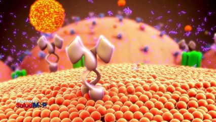 Equilibrio hormonal y nutricional: Retos en el manejo del SOP y la obesidad