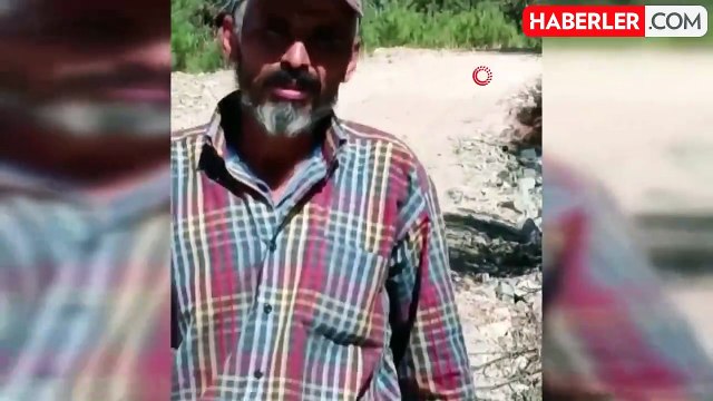 Denizli'de Keçi Sürüsüne Silahlı Saldırı: 10 Hayvan Telef Oldu