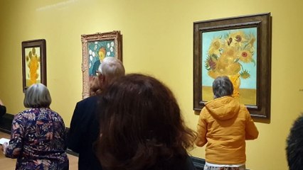 Just Stop Oil throw soup over two Van Gogh's