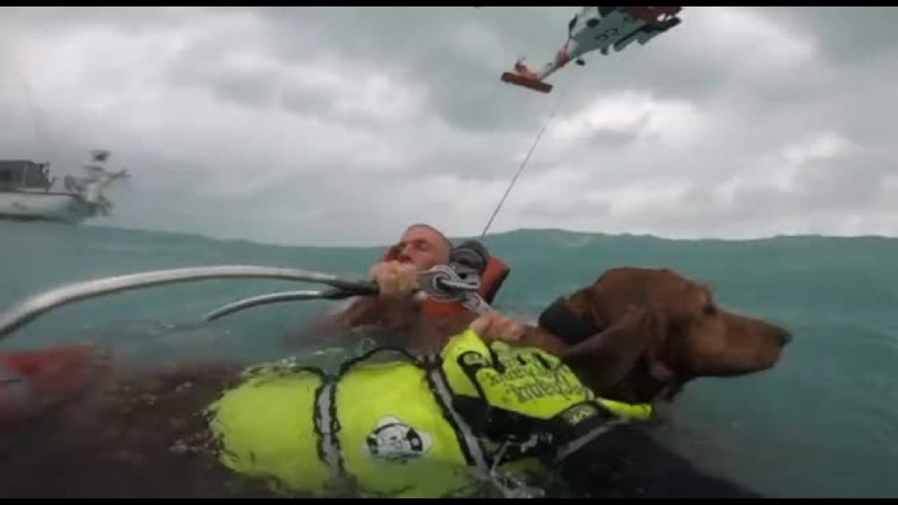 Uragano Helene, la Guardia Costiera Usa salva un uomo e il suo cane