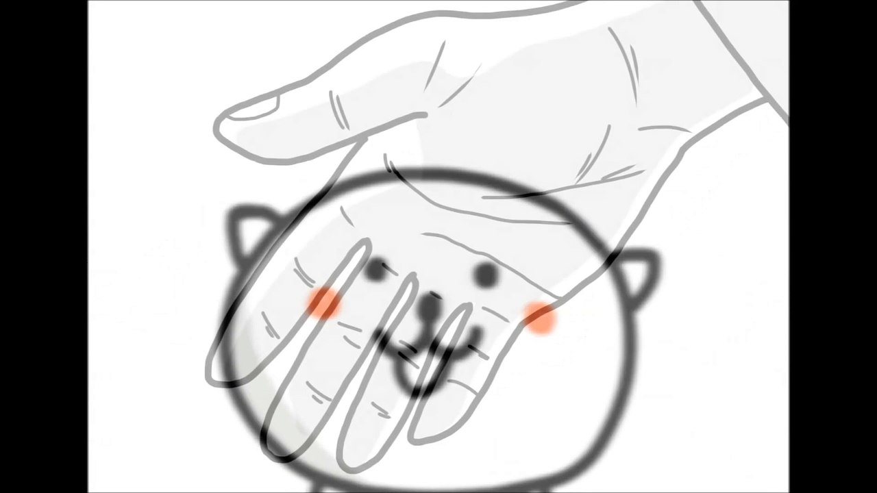 【涙腺崩壊】目をそらしてはいけない現実「悲しい猫の一生」