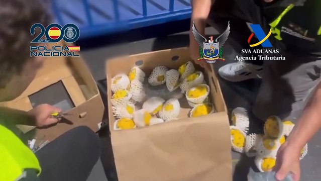 La Policía incauta 165 kilos de cocaína camuflados en contenedores de fruta del dragón.