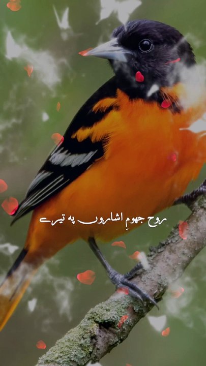 Ajmal Raza Qadri Bayan ❤️ | Islamic Video | Islamic motivational video