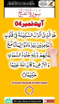 Al-Quran - Surah 48 - Al-Fath - Ayah 4 | daily tilawat | status | hafiz salman ali