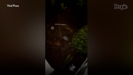 At Least 20 Dead, Millions Without Power After Hurricane Helene Makes Landfall: What We Know So Far