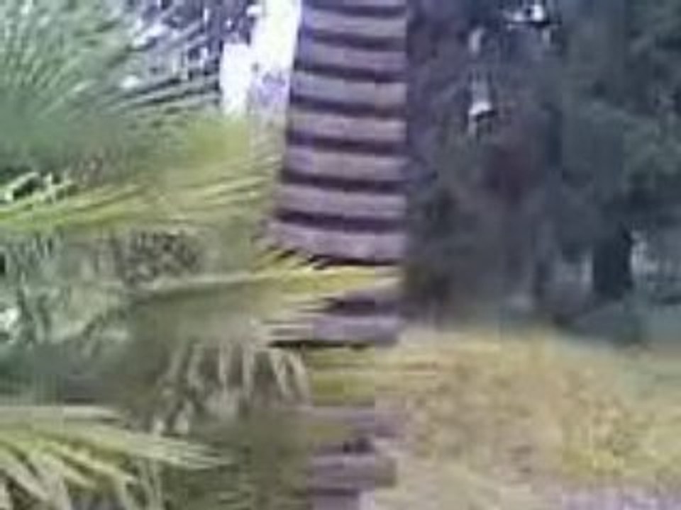 LE PARC