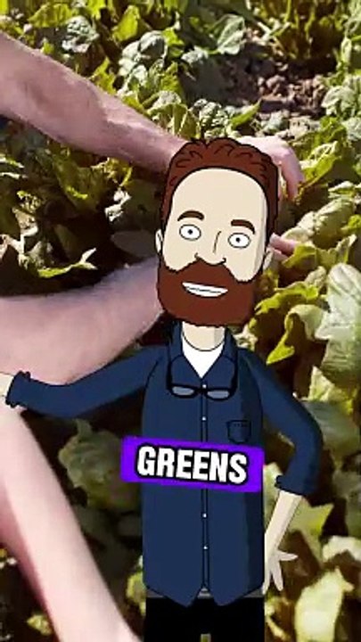 Foods that help in loosing weight