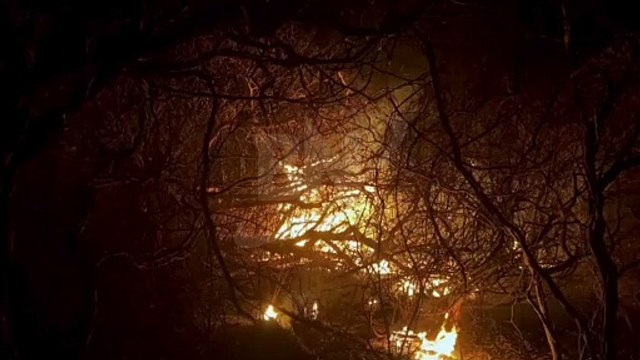 Bombeiros combatem incêndios florestais em diversas cidades da Bahia