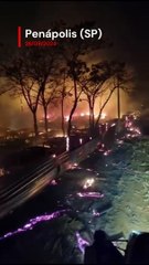 Fogo destrói 350 veículos em Penápolis